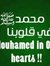Amr Mou...