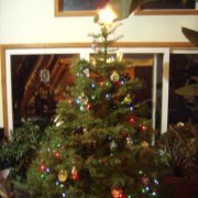 Shannon O'rourke-mattison