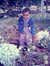 Ahmed M...