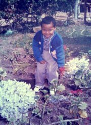 Ahmed Maher