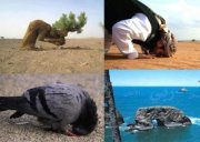 Hasmina Guiani-ambor