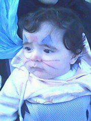 مجدالدين أمير