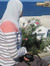 Shaimaa