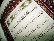 Mohammed Mahdy