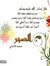 Manar