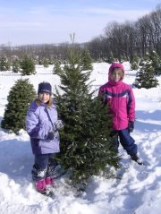 Mimi Clevenger-walker