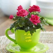 زهرة الغاردينيا