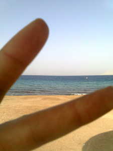 خميس الجزرة