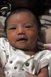 Febriansyah Mulia