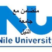 Nevine Allam