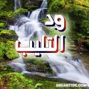 ود التليب