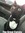 Meowzilla Y