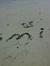 Lydia W...