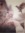 Sarah majed (aynour) | 3 comments