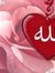 Adel Gomaa