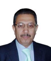 Bassim Hussein