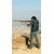 Mustapha Al rayshouni