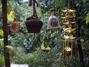 Юлиана Дешева