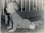 Wouter Van den broeke