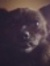 Addie G...