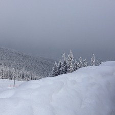 Nancy Scruggs fanning