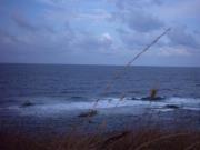 Албена Генова