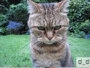 Магдалена Божинова