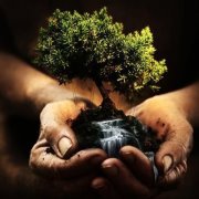 ابو احمد النعيمي