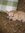 Tmd | 6 comments