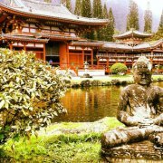 Simone Whalen-rhodes