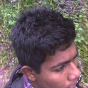 Sheron Wollas