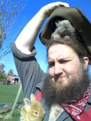 Hobbit Donohue
