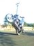 Rohit M...