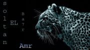 Amr Msh zamlkawy