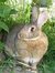Smokerjoerabbit Tong