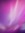 Redtulips1103