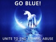 Драгана Велковска