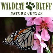Wildcat Bluff