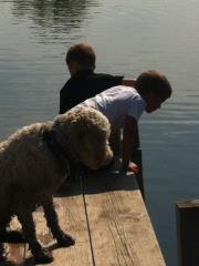 Cassidy Buckingham dorr