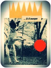 Саша Геллер