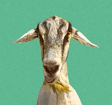 Sarayoot Subphaitoon