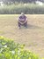 Ahmed Alaa