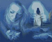 صفحة الشاعر