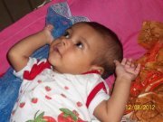 Wael Mourad