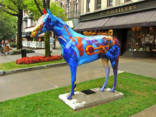 Teri Johnson burdick