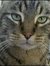 Jill Pa...