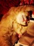 Whitney