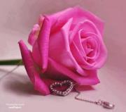 ناهد السبكي