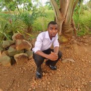 Arthur Detoxificator