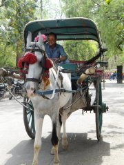 Sumeer Kaul